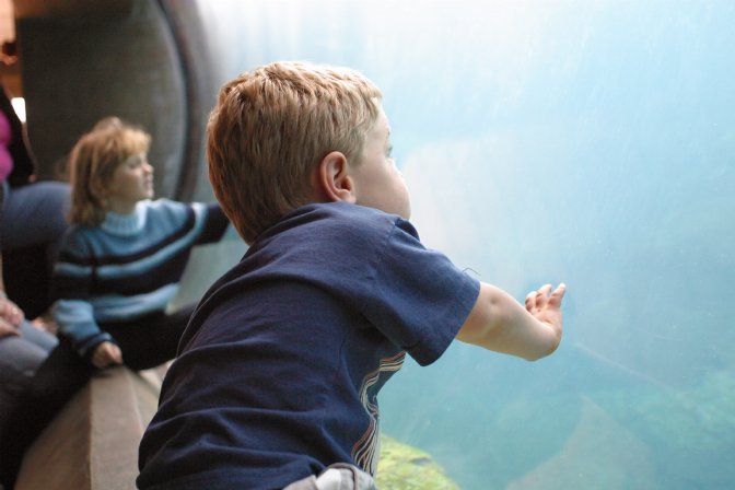 Timothy in the seal tank tunnel