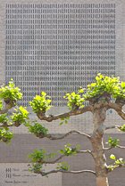 Niikuni Seiichi, Shu Kawa