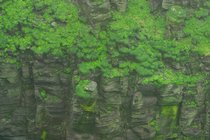 Cliffs Of Moher, III