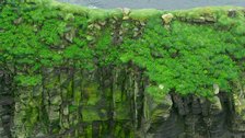 Cliffs Of Moher, VI