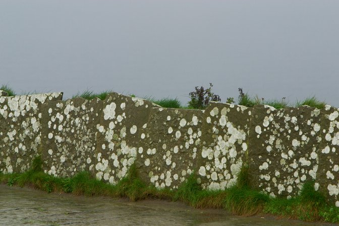 Moher Railing