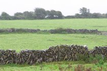 Poulnaborne Rock Walls