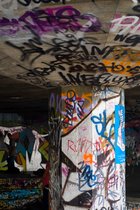 South Bank Skater Graffiti, II