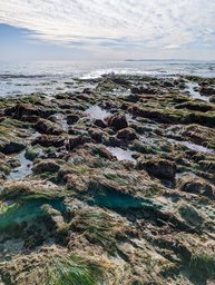 Low tide at Crystal Cove