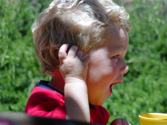 Timothy grabs his ear