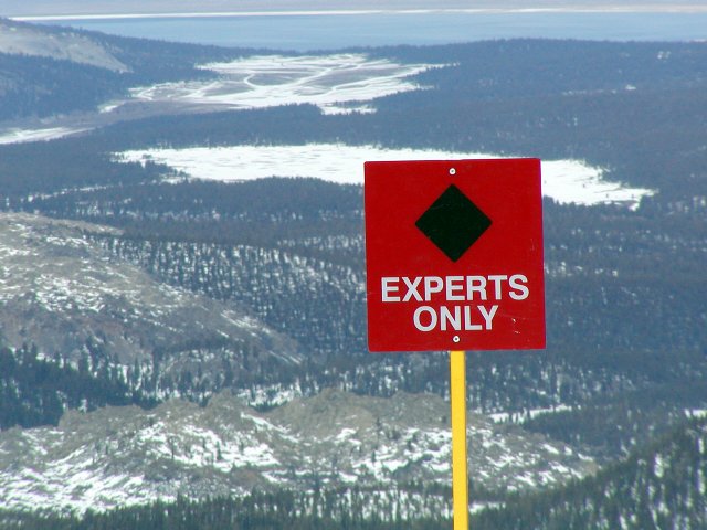 Experts Only
