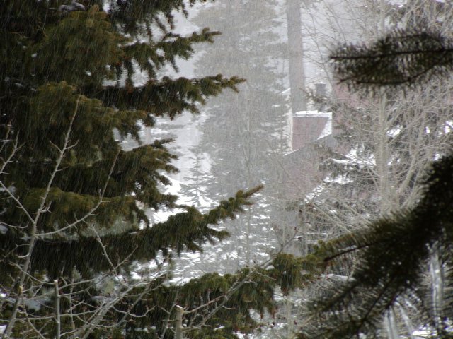 From the condo balcony