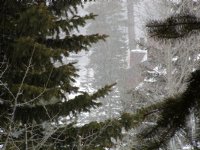 From the condo balcony