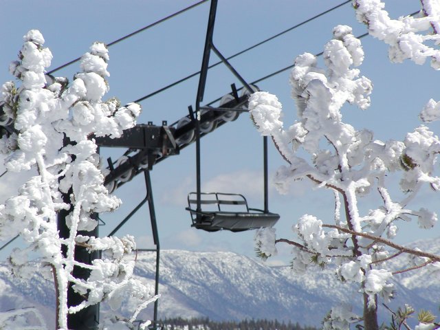 Lift through white trees