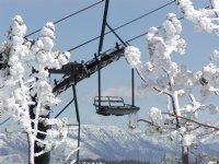 Lift through white trees