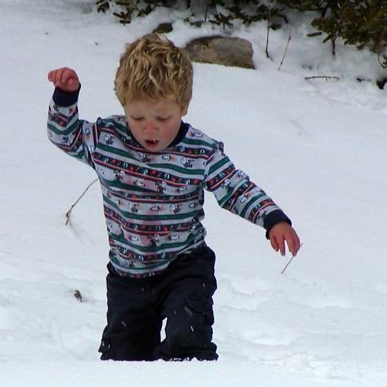 Timothy discovering that snow is cold