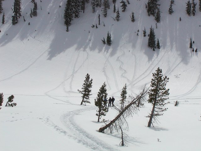 More tracks in snow