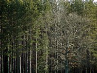 Below the Amherst soccer field