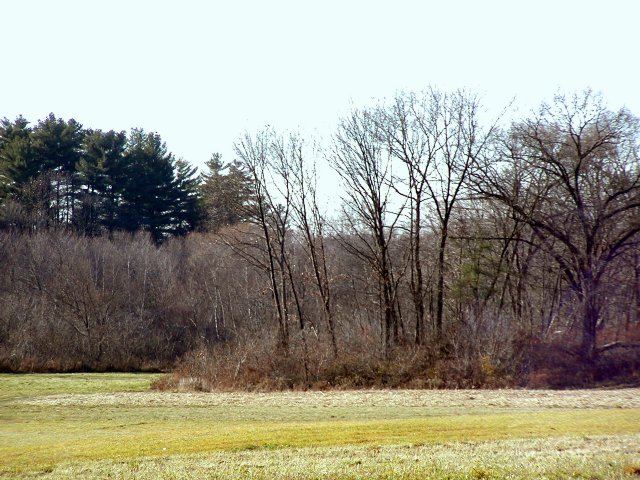 From highway 181 in Palmer