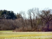 From highway 181 in Palmer