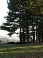 View from above the war memorial