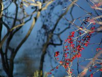 Palmer-Blechertown bridge
