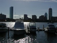 Marina and skyline