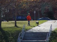 Orange jacket, black dog