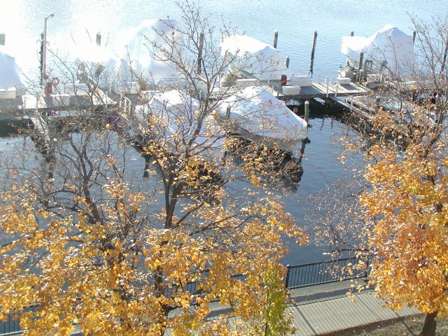 Morning view of the marina