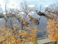 Morning view of the marina