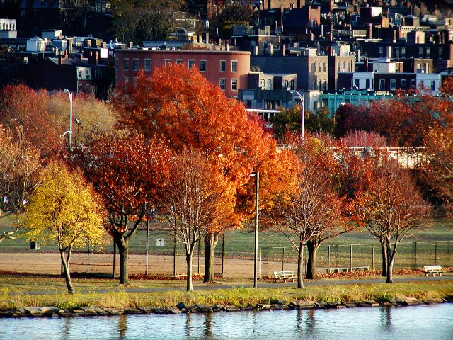 Afternoon light on the opposite bank