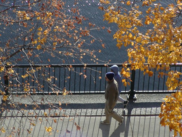 Charles river strollers