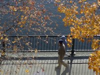 Charles river strollers