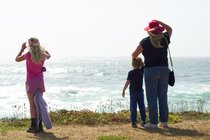 Mendocino Coast Botanic Gardens