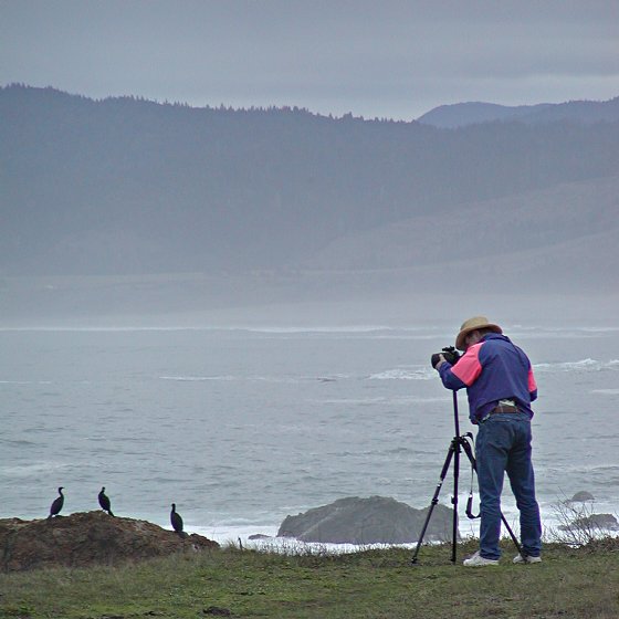 Laguna Point Birder