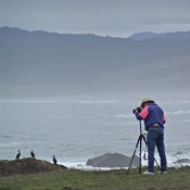 Laguna Point Birder