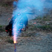 Dog investigating a firework