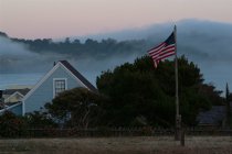 Flag and Fog