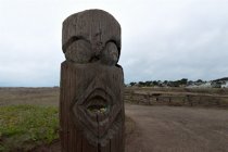 Headlands Totem