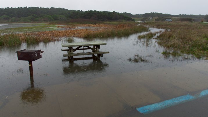 Too Wet for a Picnic