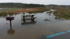 Too Wet for a Picnic