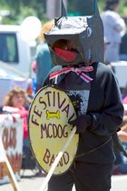 Mc Dog Festival Band