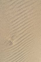 Pudding Creek Sand, I