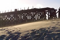 Pudding Creek Trestles, II