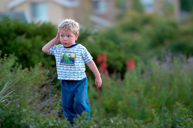 Timothy in the garden