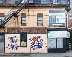 Flowers Of Southeast Asia