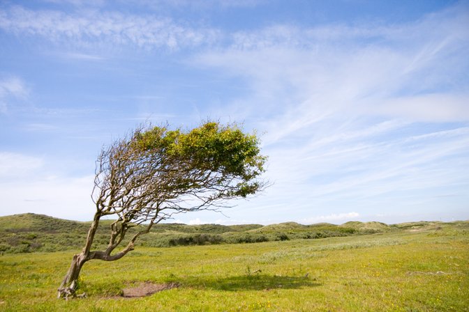 Zuid Kennemerland, II