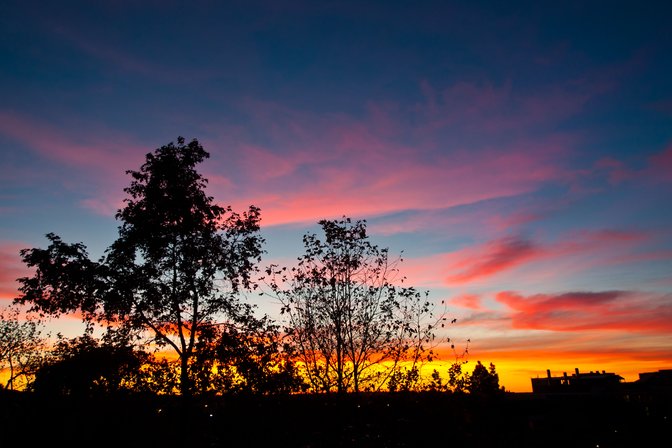 The view from my office