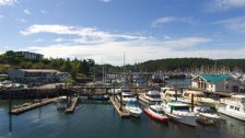Friday Harbor Marina