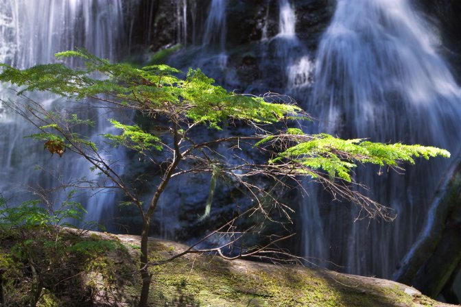 Cascade Falls