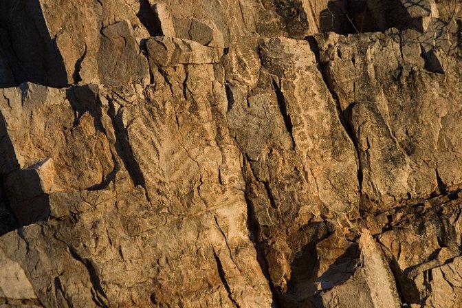Petroglyphs In The Sun, I
