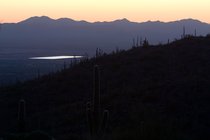 Reflective Rectangle