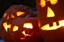 Crowd of pumpkins