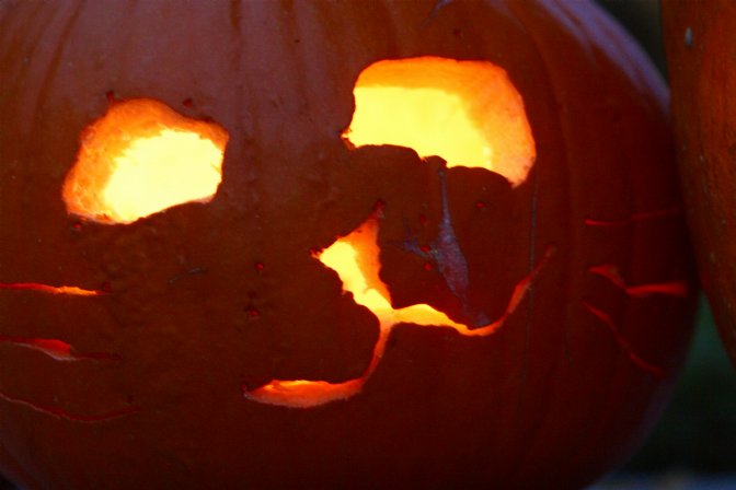 Sara's kitty-face pumpkin