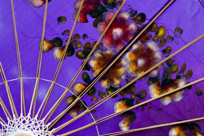 Purple Parasol
